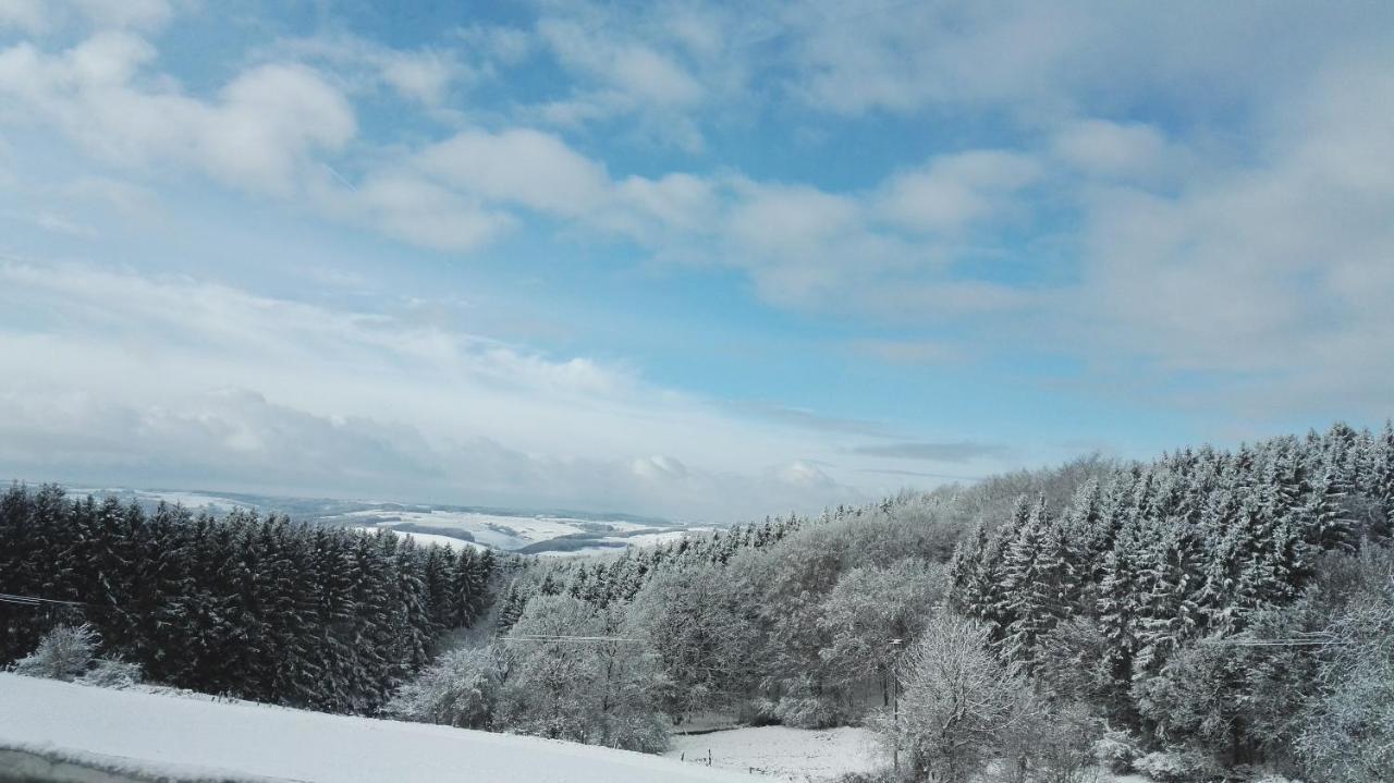 Eifel Ferienhaus Luna Ohlenhard المظهر الخارجي الصورة